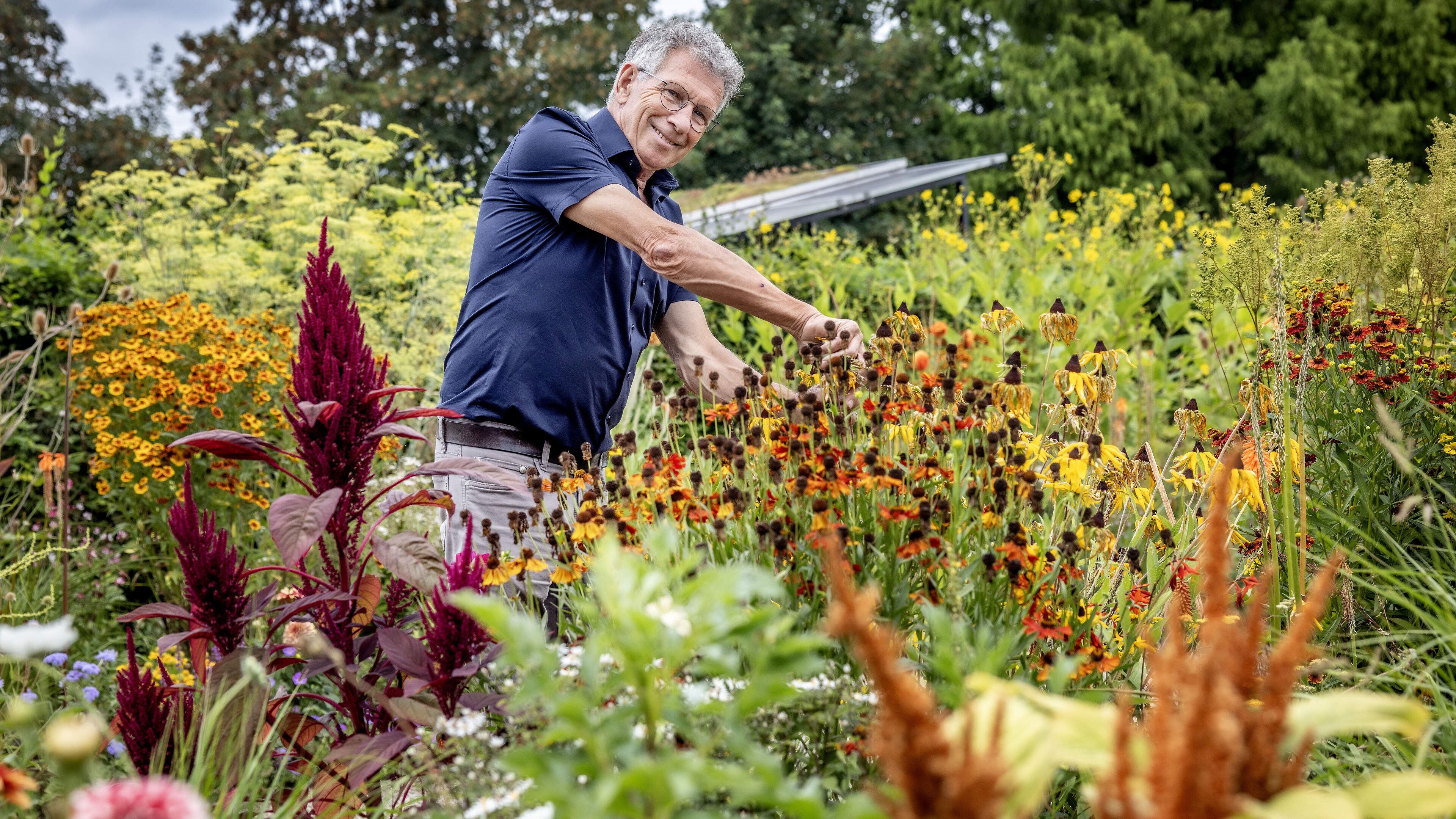 Met deze tips blijft jouw tuin wél mooi en groen en dat is soms simpeler dan je denkt: ’Kijk eens wat verder dan de eerste de beste aanbieding’
